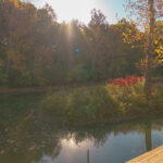 waterside-26